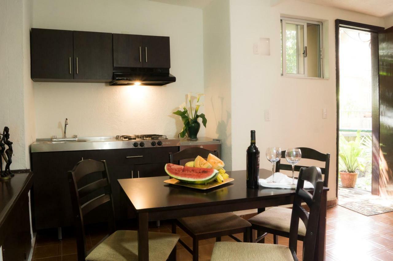 Suite 5A, Altavista, Garden House, Welcome To San Angel Mexico City Exterior photo