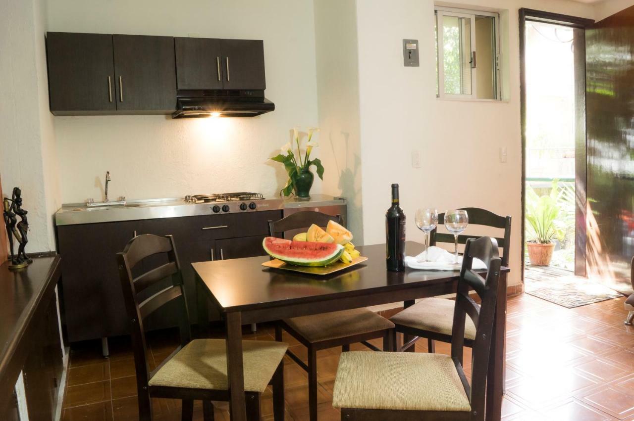 Suite 5A, Altavista, Garden House, Welcome To San Angel Mexico City Exterior photo