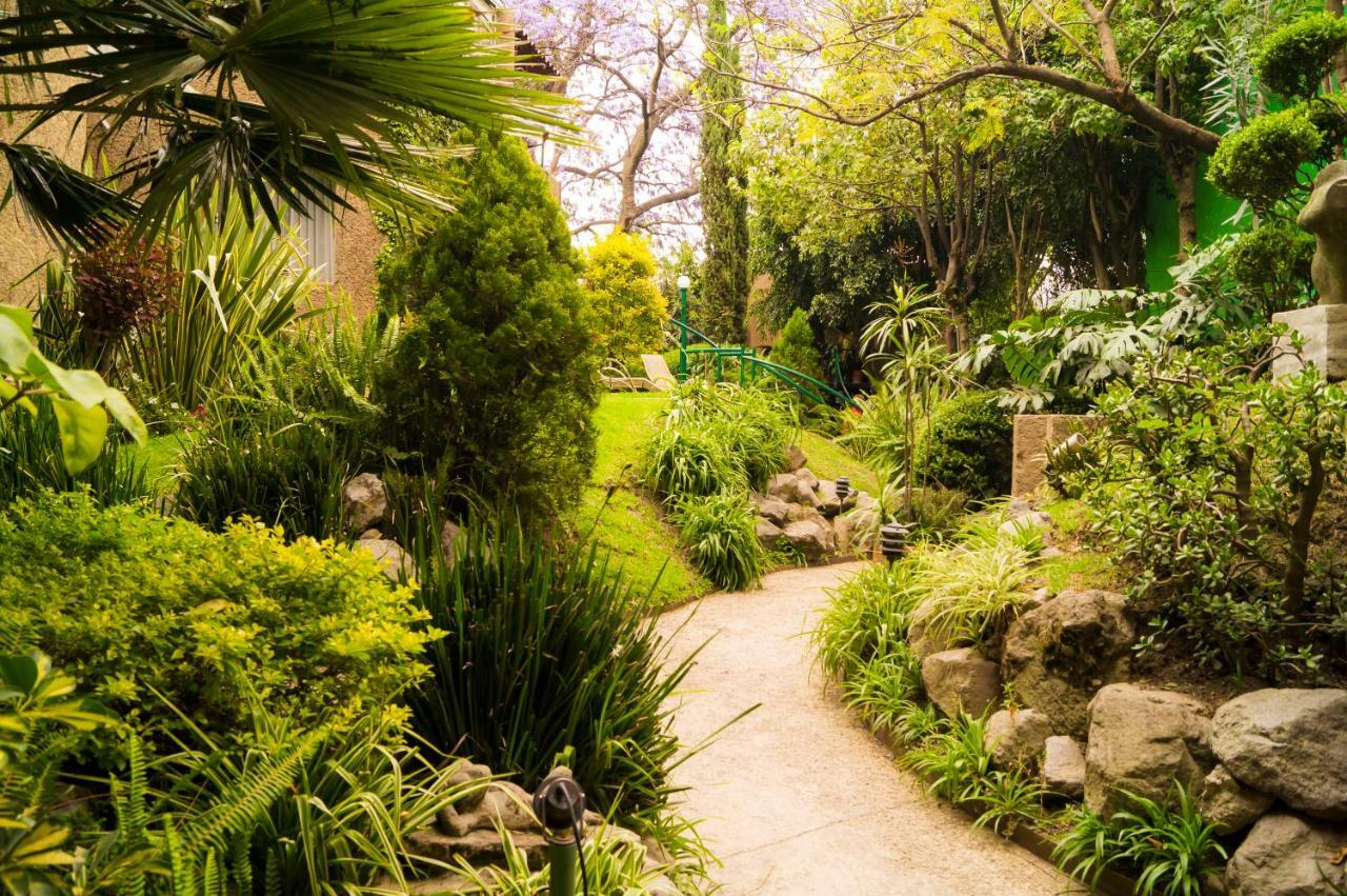 Suite 5A, Altavista, Garden House, Welcome To San Angel Mexico City Exterior photo